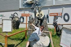 K1024_20240410_120752-rotated