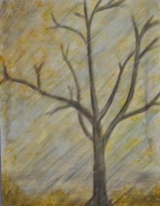 Baum im Herbstwind und -regen.