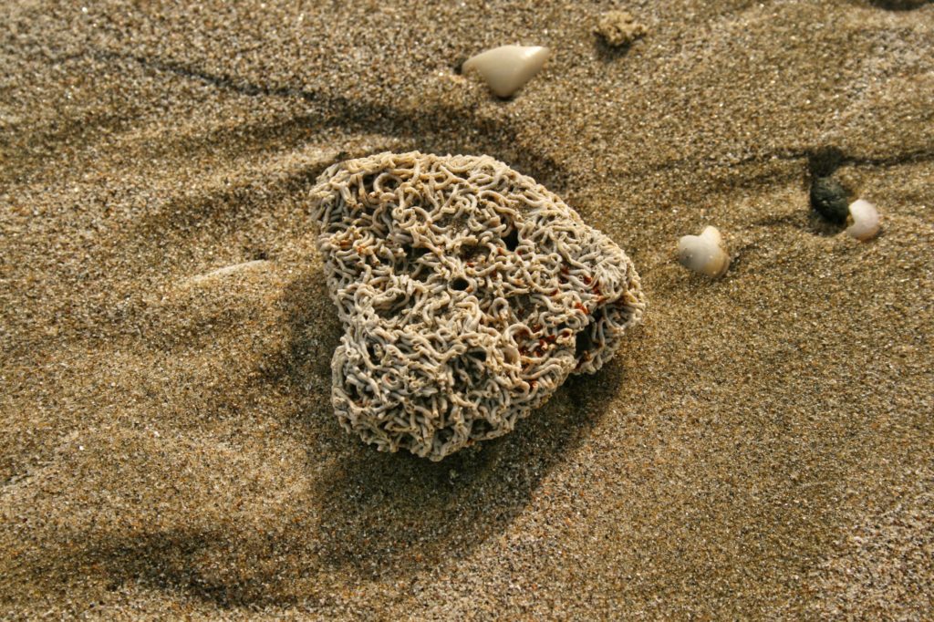 Herz im Sand